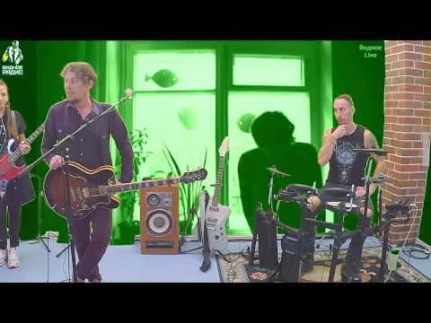 Видео: Адаптация Пчел. Программа "Видное Live" от 03.10.19