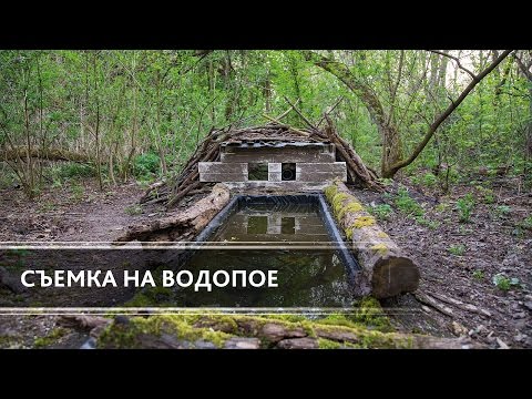 Видео: Съемка птиц на водопое (How to makes Bird's Photos on the Watering)