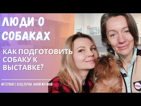 Видео: Как подготовить собаку к выставке самостоятельно? | Интервью с хендлером Анной Жогиной