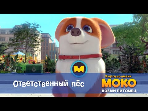 Видео: Корги по имени Моко. Новый питомец - Серия 12.Ответственный пес - Премьера мультфильма