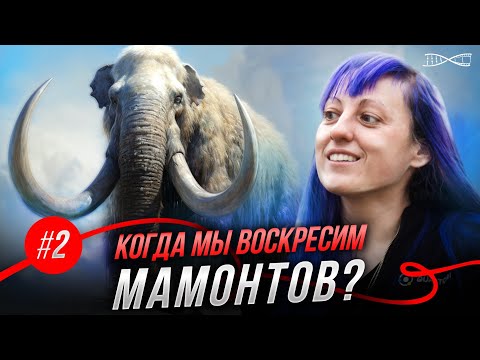 Видео: Далеко ли до возрождения Мамонтов?