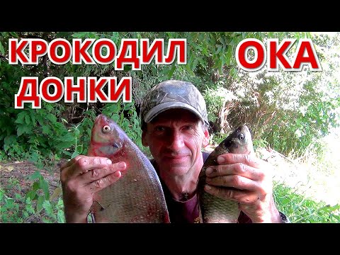 Видео: ЛЕЩ и КАРАСЬ на КРОКОДИЛ. Рыбалка на ОКЕ на ДОНКУ. САЛО рулит.