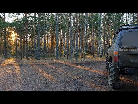 Видео: Романтика одиночного оффроуда.