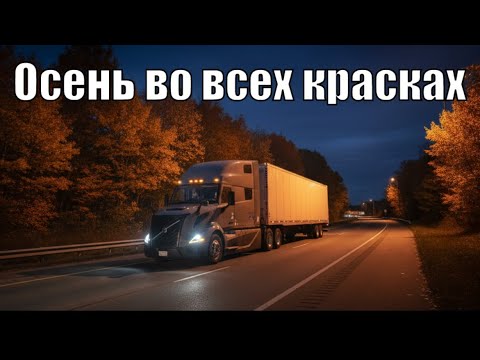 Видео: Ночные рейсы и осенние дороги 🚛🍂