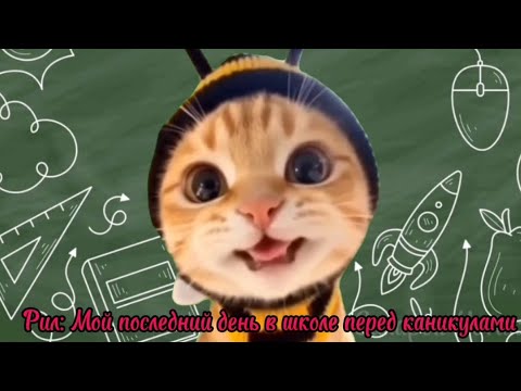 Видео: Рил: Мой последний день в школе перед каникулами 🔔. Футажи в моём телеграм канале. Мемы с котами.