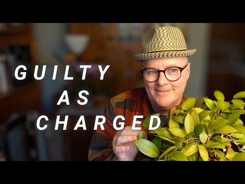 Видео: 6 ошибок при выращивании растений, от которых я просто не могу отказаться 😫 (и 4 из них у меня ес...