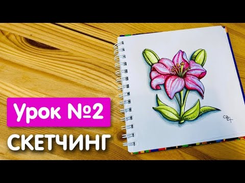 Видео: Мини-курс «Скетчинг» Урок 2. Рисунок скетч маркерами для начинающих. Лилия