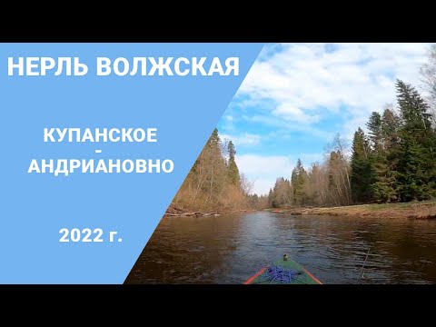 Видео: Поход по реке Нерль Волжская 2022. Купанское - Андрианово