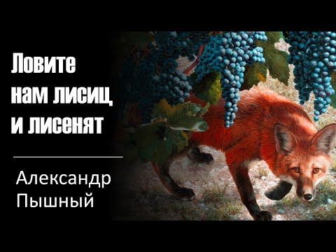 Видео: Александр Пышный - Ловите нам лисиц и лисинят.