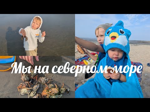 Видео: Влог из Германии:Северное море☀️Лето2025