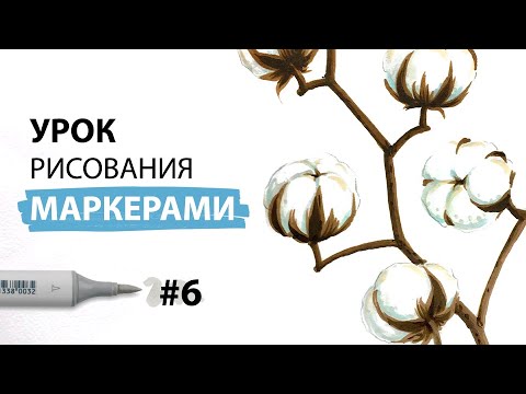 Видео: Как нарисовать веточку хлопка? / Урок по рисованию маркерами для новичков #6