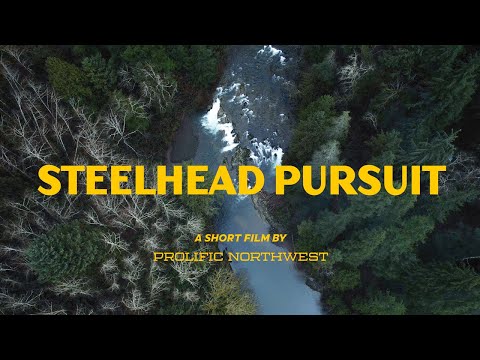 Видео: В погоне за стальноголовым лососем | Короткометражный фильм | История о двух братьях, которые уча...