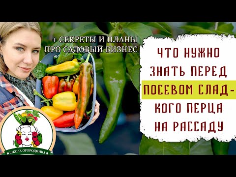 Видео: КОГДА СЕЯТЬ СЕМЕНА БОЛГАРСКОГО ПЕРЦА НА РАССАДУ В 2021 ГОДУ + СЕКРЕТЫ И ПЛАНЫ ПРО САДОВЫЙ БИЗНЕС