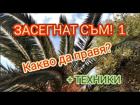 Видео: ЗАСЕГНАТ СЪМ! Какво да правя?  + ТЕХНИКИ | 1-ва част | @ВЕКТОР