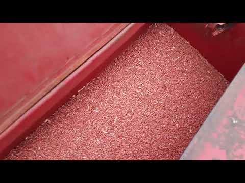 Видео: Посів Пшениці Шпаловка 2025