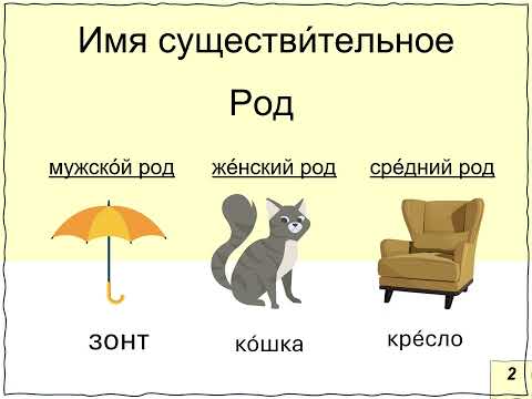 Видео: Существительные  Род  Правило