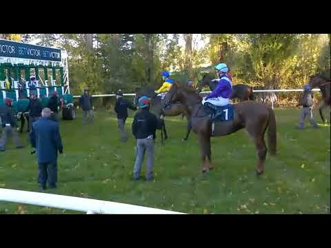 Видео: R6 по адресу 1601 NEWBURY-UK