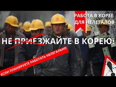 Видео: Работа в Корее.  Не приезжайте в Корею если не...