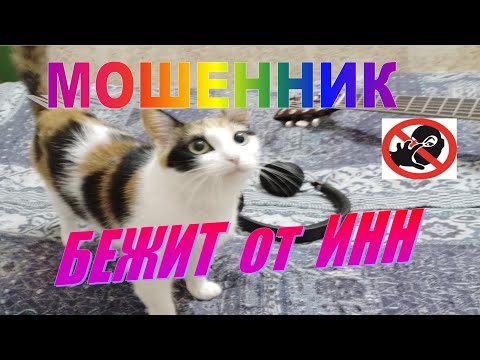 Видео: МОШЕННИК БЕЖИТ ОТ ИНН+ видео с платформы