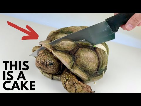 Видео: Эту очаровательную черепаху можно съесть! 😋