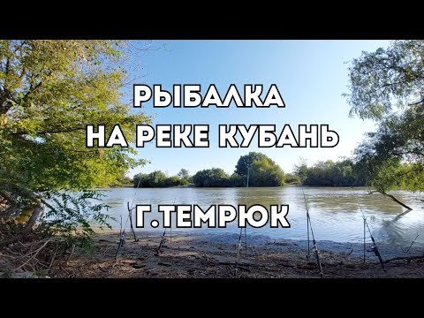 Видео: Рыбалка на реке Кубань / Опробовали новые снасти / Результат не радует