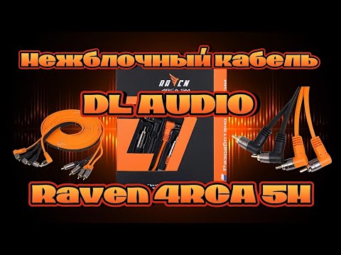 Видео: Профессиональный RCA кабель DL AUDIO Raven 4RCA 5m #dlaudio