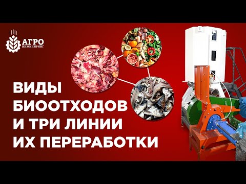 Видео: Какие биоотходы можно перерабатывать в корма для животных. Обзор линий переработки биоотходов.