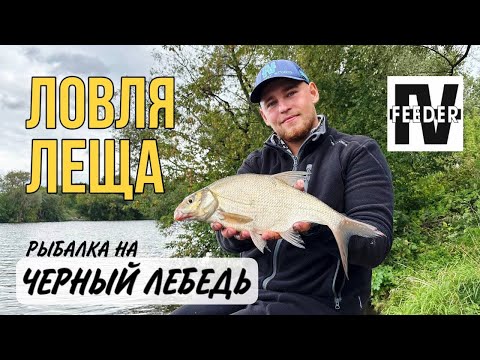 Видео: Ловля фидером на Москва реке. Новика черный лебедь от FA
