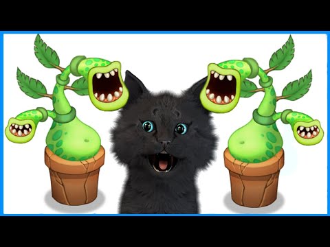 Видео: ПОЮЩЕЕ ДВУХ ГОЛОВОЕ РАСТЕНИЯ Мои Поющие Монстры и Говорящий Супер Кот 🐱 My Singing Monsters