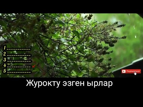 Видео: 🎵Журокту эзген жаны ырлар🎵