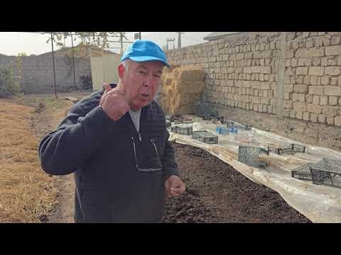 Видео: +992909883641 акаи Абдулло. Биогумуси беҳтарин 2.5 сомонӣ 1 кг.