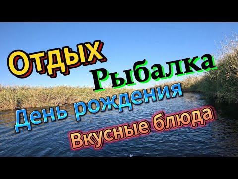 Видео: Рыбалка, отдых на протоках Или