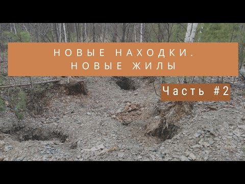 Видео: Новые жилы. Новые находки. Часть №2