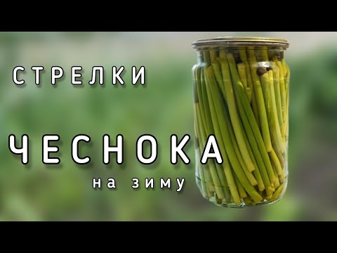 Видео: НЕ Выбрасывайте СТРЕЛКИ ЧЕСНОКА! ЭТО очень вкусно! ЗАГОТОВКИ на зиму, МАРИНОВАННЫЙ Чеснок // Лайла