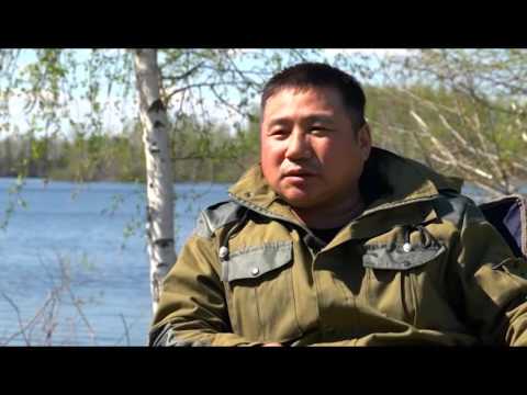 Видео: Давинский заповедник