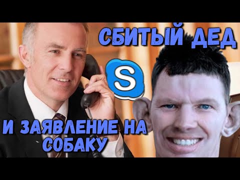 Видео: ГЛАД ВАЛАКАС - ДТП СО СБИТЫМ ДЕДОМ И ЗАЯВЛЕНИЕ НА СОБАКУ | ROFL IN SKYPE