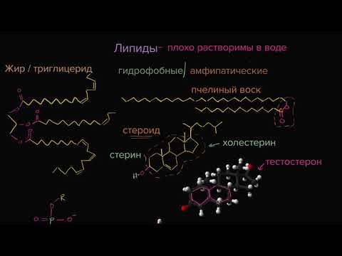 Видео: Липиды (видео 7) | Макромолекулы | Биология