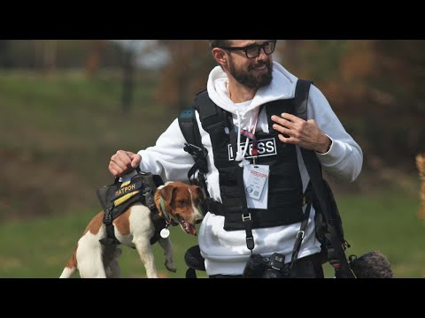 Видео: Патрон. Найвідоміший пес-сапер у світі