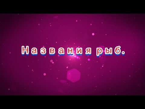 Видео: Названия рыб.