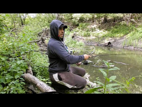 Видео: Скільки Окуня в Канаві. Вода Кипіла. Ловля Окуня на Поппер