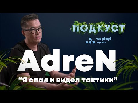 Видео: AdreN: Все звёзды из FaZe Clan - такие же люди как и мы / ПОДКУСТ (+ENG Subs)