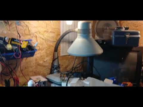 Видео: 💡Низковольтные светодиодные лампочки на 12 В с Озона.