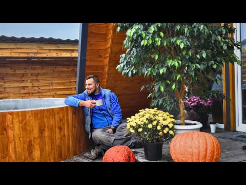 Видео: 🏡🔍 Домик в БЕЛОРУССКОЙ ДЕРЕВНЕ: поиски продолжаются! Что такое ЛИСТВЕННИЦА и где её найти? 🍃 