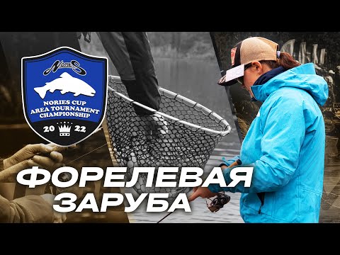 Видео: КАБАНОВ VS ГРИШИНА форелевая заруба на ФИШПАРК АРЕНА. ЧТО может ПОМЕШАТЬ выиграть Nories CUP 2022?