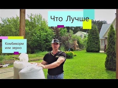 Видео: Почему КРОЛИКОВ лучше КОРМИТЬ КОМБИКОРМОМ а не зерном