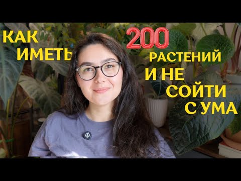 Видео: КАК избежать ВЫГОРАНИЯ, выращивая МНОГО РАСТЕНИЙ |как УПРОСТИТЬ жизнь с РАСТЕНИЯМИ и НЕ разлюбить ИХ