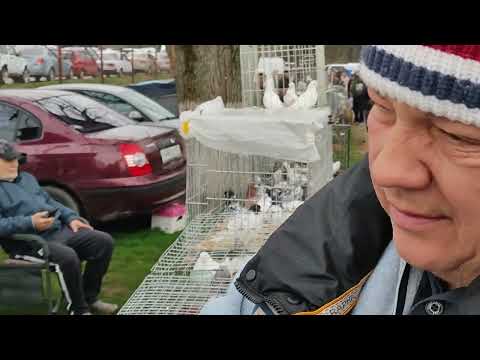 Видео: 30.03.2025г Кропоткин Ярмарка ч. 2 👍