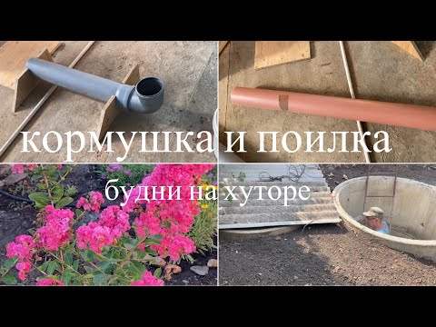 Видео: Сельская жизнь/Экономная кормушка/Ритуал с сеном/21.07.24/