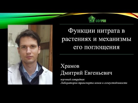 Видео: «Функции нитрата в растениях и механизмы его поглощения» (Дмитрий Евгеньевич Храмов)