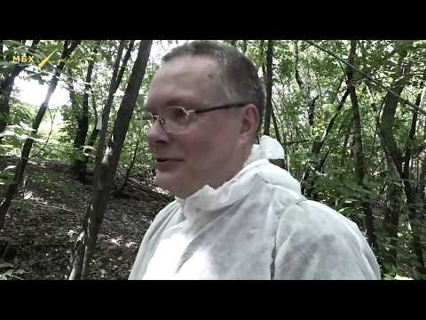 Видео: Дозиметр Родник 3 в работе